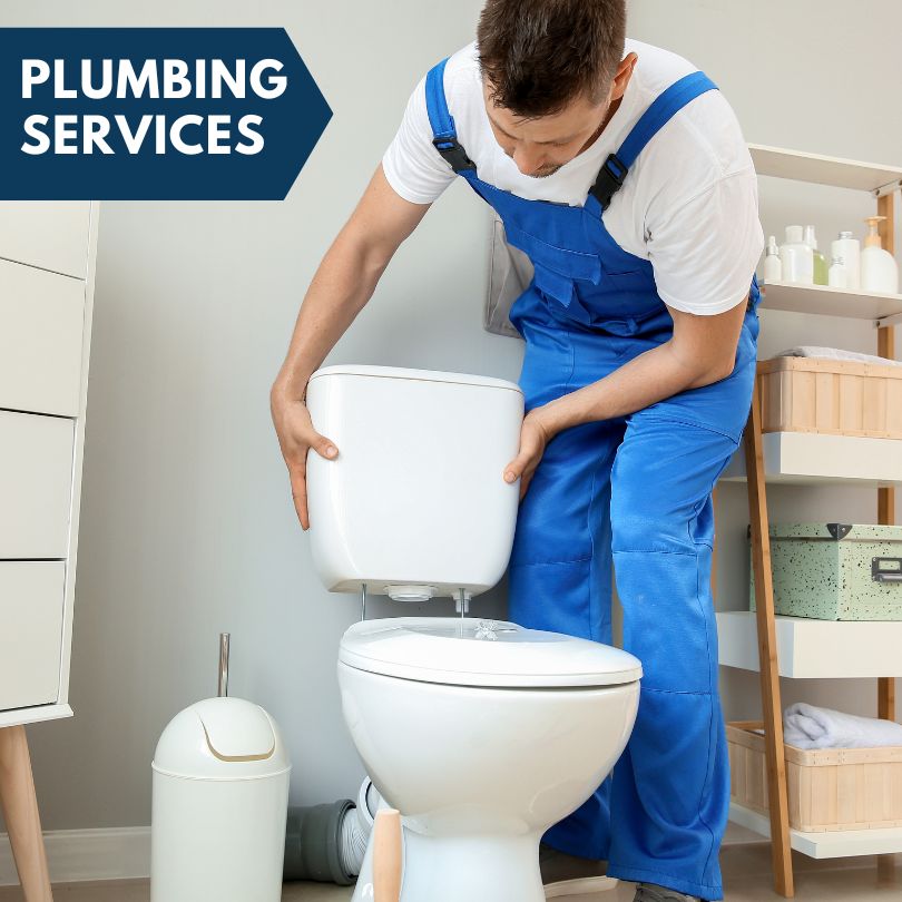 Plumbing Company in Downers Grove, IL